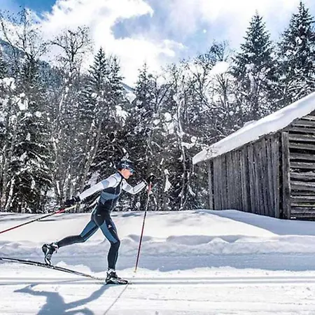 Wiesenweg Inklusive Kostenfreiem Eintritt In Alpentherme Апартаменты